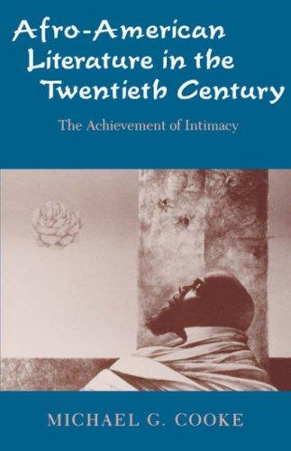 Afro-American Literature in the Twentieth Century cover