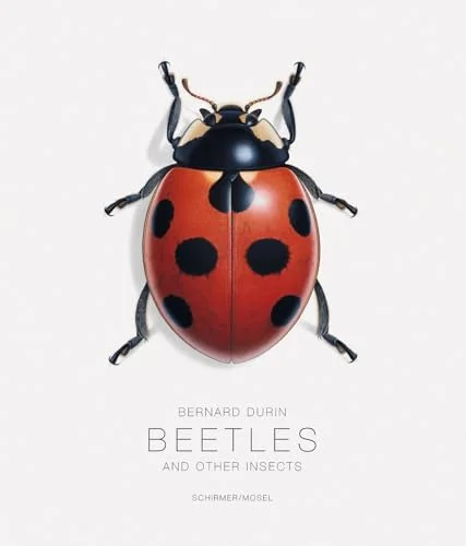 Beetles: And Other Insects (Expanded) cover