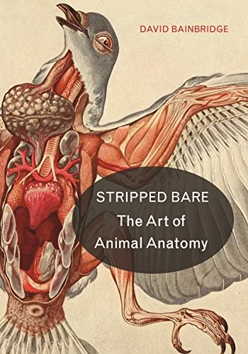 Stripped Bare: The Art of Animal Anatomy cover