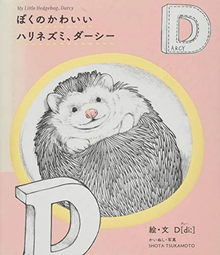 MY LITTLE HEDGEHOG, DARCY cover