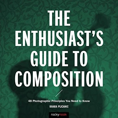 Enthusiast's Guide to Composition: 48 Photographic Principles You Need to Know cover