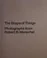 The Shape of Things: Photographs from Robert B. Menschel - Hardcover cover