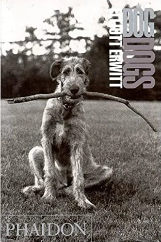 Dog Dogs cover