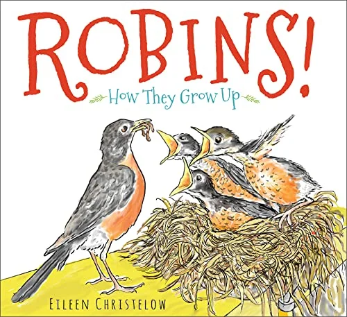 Robins!: How They Grow Up cover