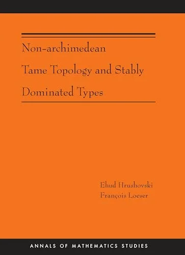 Non-Archimedean Tame Topology and Stably Dominated Types cover