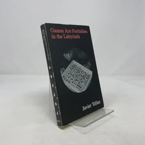 Games Are Forbidden in the Labyrinth cover