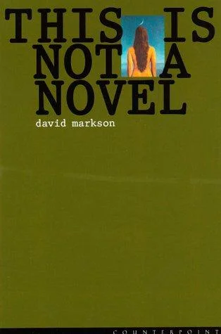 This Is Not a Novel cover