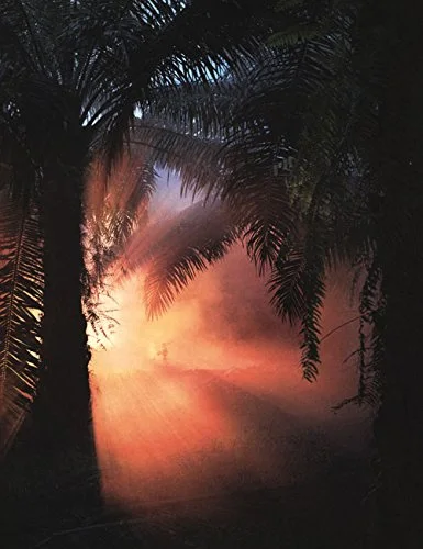 Julian Charrière cover